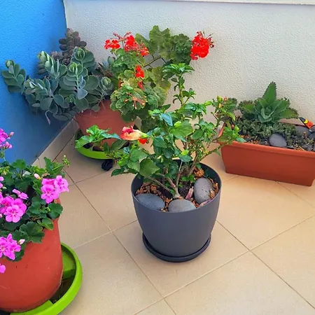 Apartamento Tenerife Sud Golf Appartament *