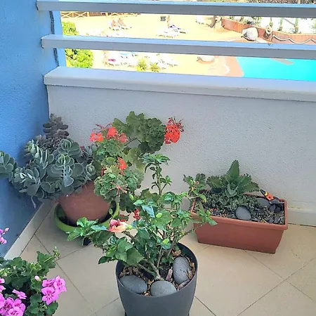 Tenerife Sud Golf Appartament * San Miguel de Abona