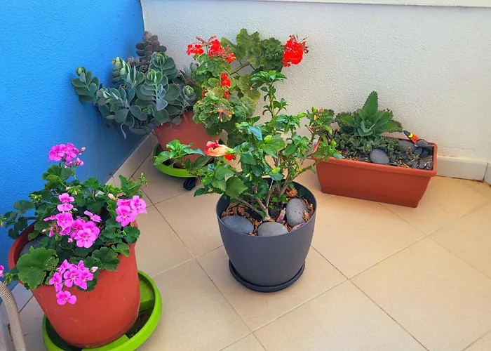 Appartamento Tenerife Sud Golf Appartament *