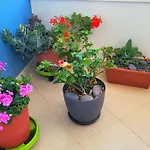 Apartmán Tenerife Sud Golf Appartament *